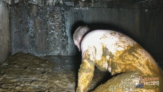 under the cowshed volume two getting ready for some erotic manure play