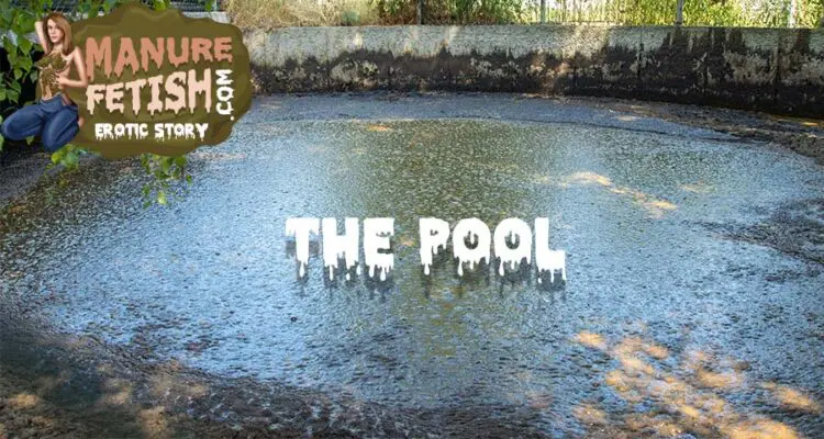 manure pool