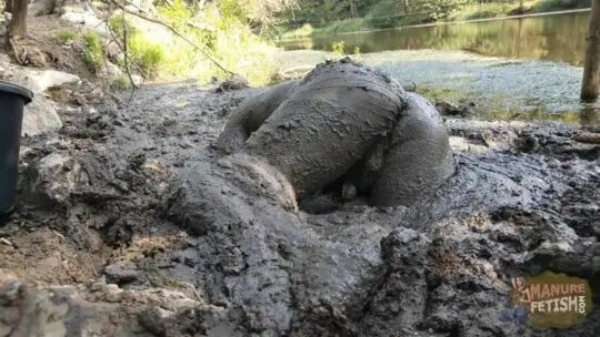 mud nd manure jerking of from behind covered in mud