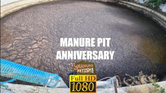Manure Pit anniversary full hd