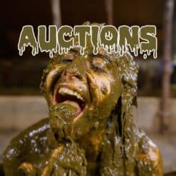 Auctions