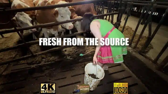 Frisch von der Quelle