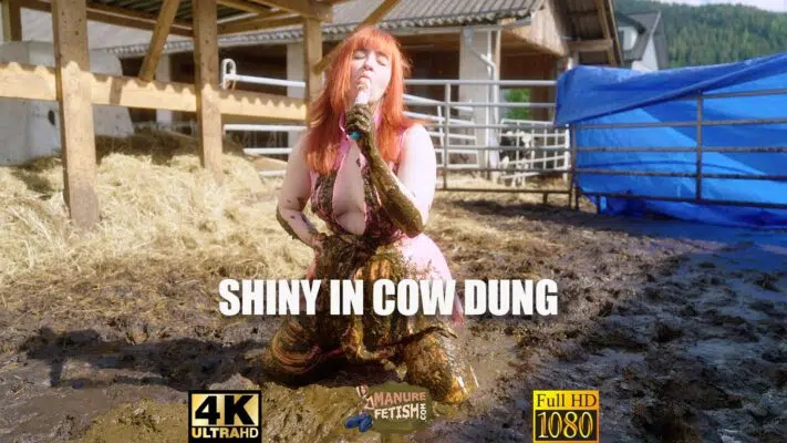 Brillant dans la bouse de vache Trailer