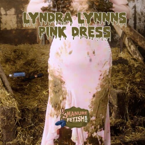 Lyndra Lynn's Pink Dress