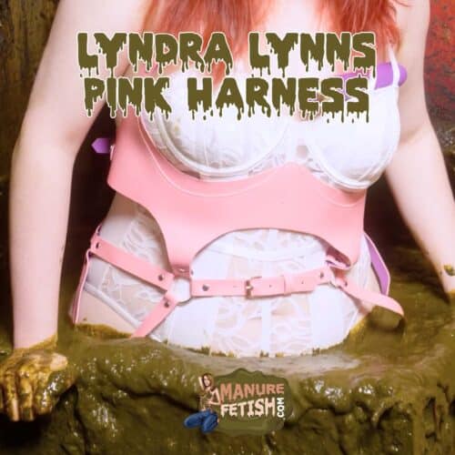 Lyndra Lynn's Harness