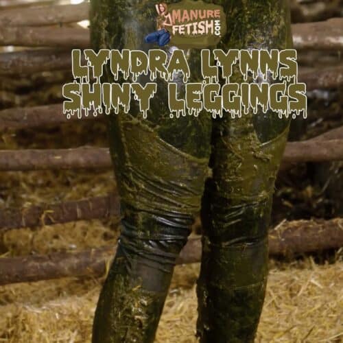 Lyndra Lynn's Shiny Leggings