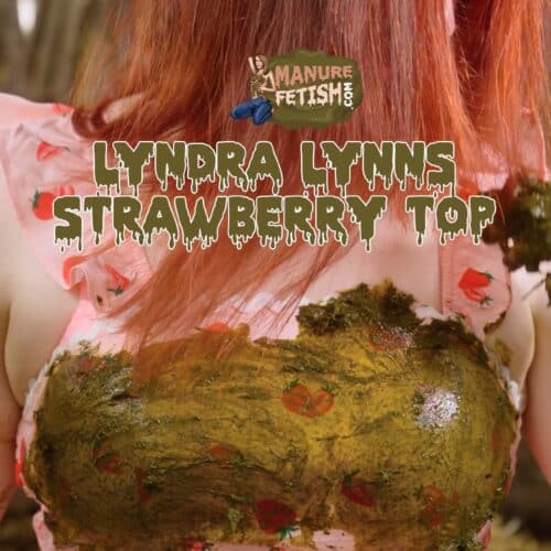 Lyndra Lynn's Strawberry Top