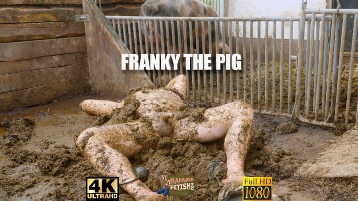 Franky The Pig Trailer