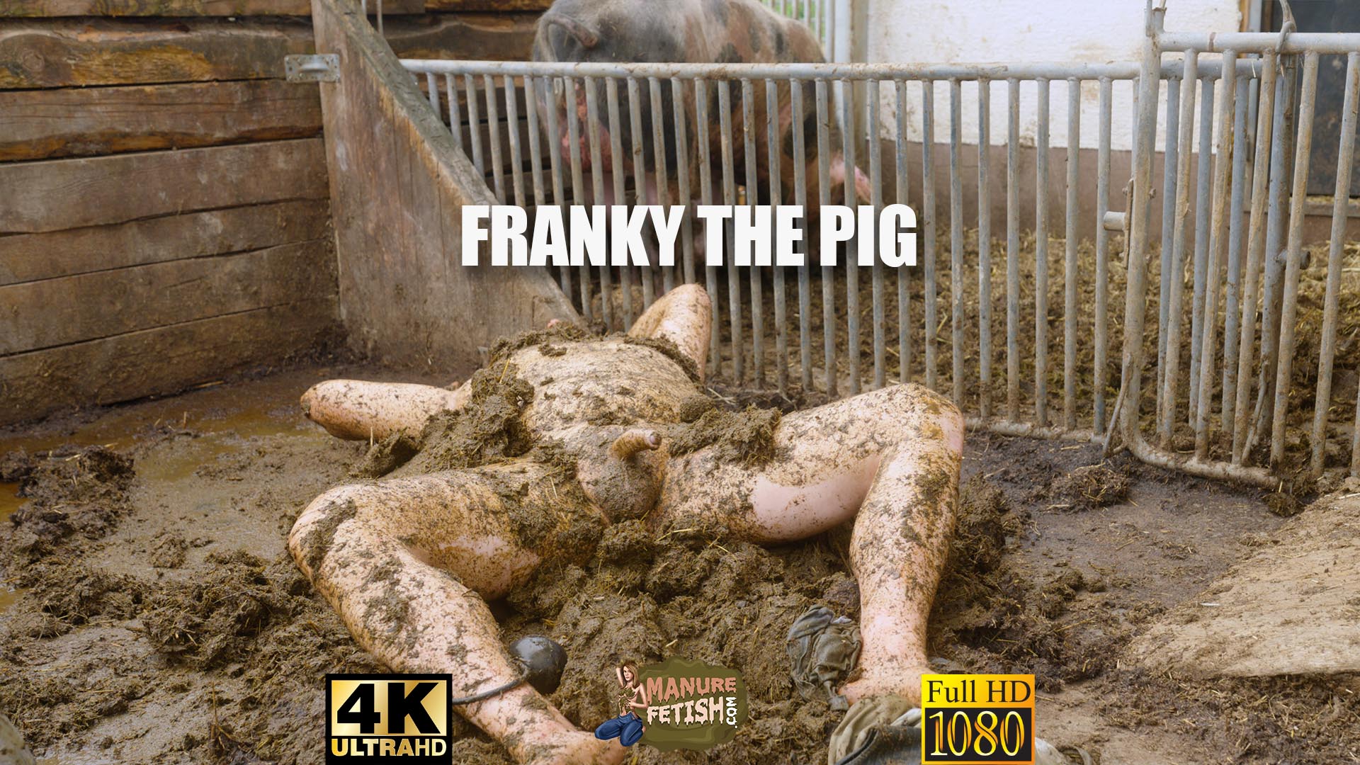 Franky The Pig Trailer