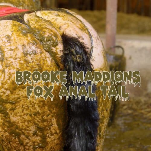 brooke-maddisons-fox-anal-tail