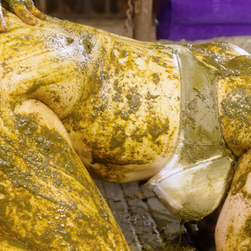 Brooke Maddison Date In Cowshit