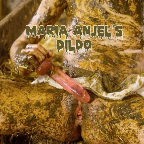 Maria Anjel´s Pink Dildo