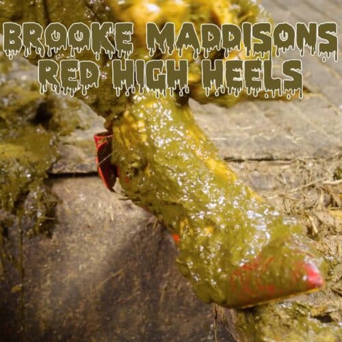 brooke-maddisons-red-high-heels