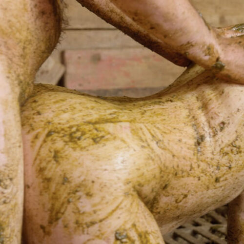 Mistress Marlena Sex In Cowshit