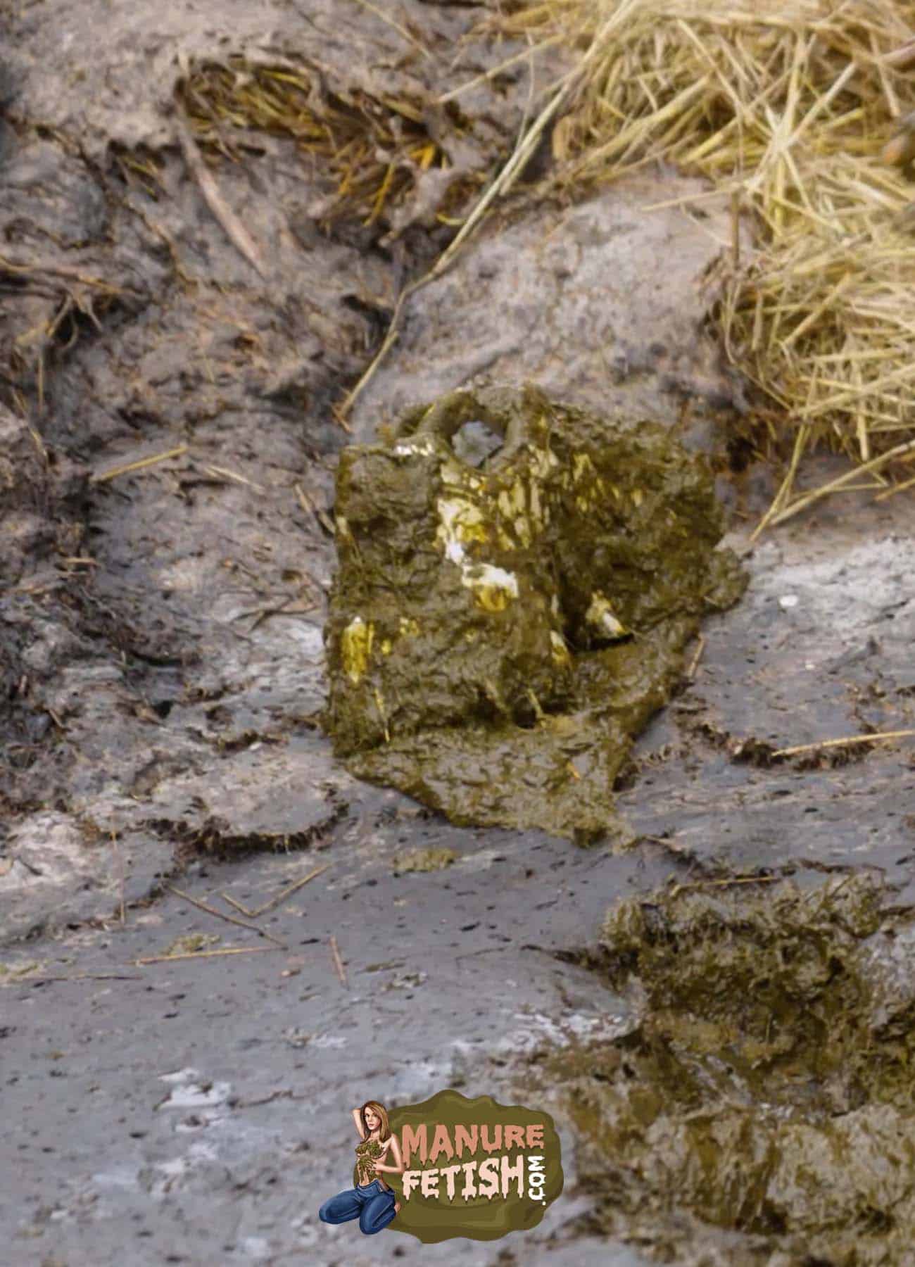 Maria Anjel Sneaker - Image 3