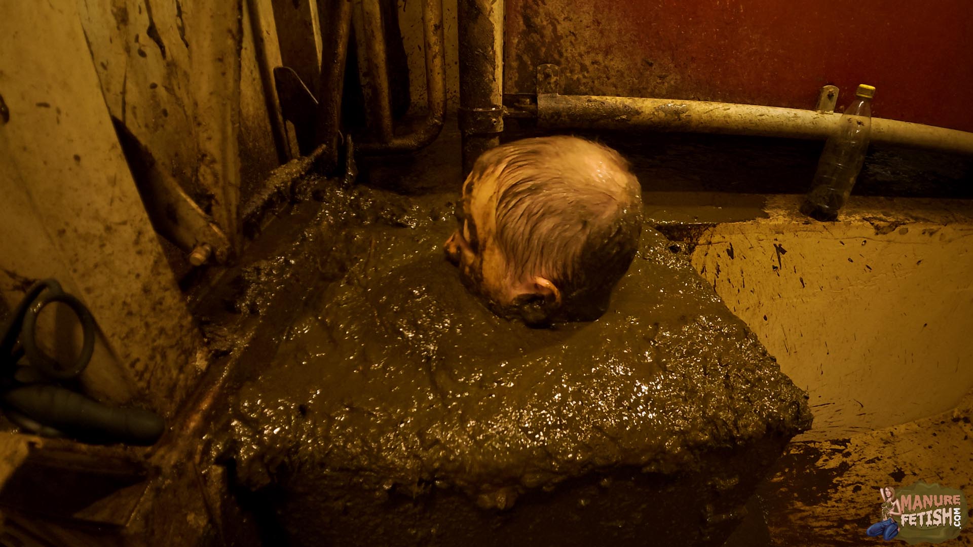 Franky Alone In The Milking Room